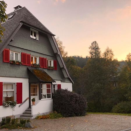 Bed and Breakfast Haus Nagel Hinterzarten Exterior foto